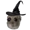 🧙‍♀