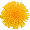 ♾