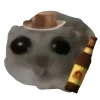 🍺