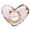 🐚