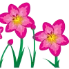 🌸