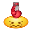 🥊