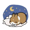 😴