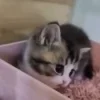 😨
