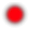 🛑