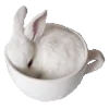 🐰