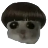 🧑‍🦳