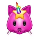🐱