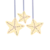 ⭐️