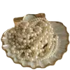 🐚