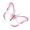 🦋