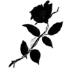 ⬛