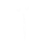 ❤️‍🔥