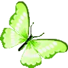 🦋