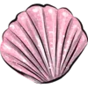 🐚