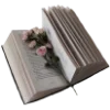 📖