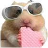 🐹