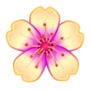 🌸
