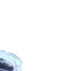 🩵