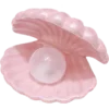 🐚