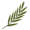 🌿