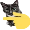 👈