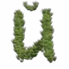 ⭐️