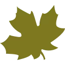 🍁