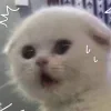 😨