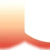 🎀