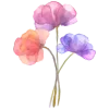 🌸