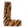 🐯