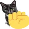 ✊