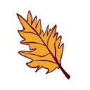 🍁
