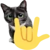 🤟