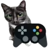 🎮