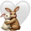 🐰