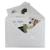 ✉️