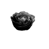 🖤