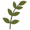 🌿