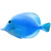 🐠