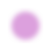 🟣