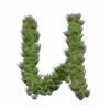 ⭐️
