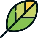 🍃