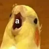 😮