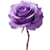 💜