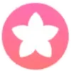 🌸