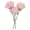 🌸