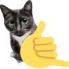 🤙