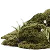 🌿